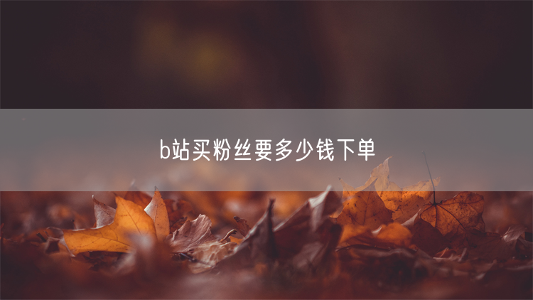 b站买粉丝要多少钱下单