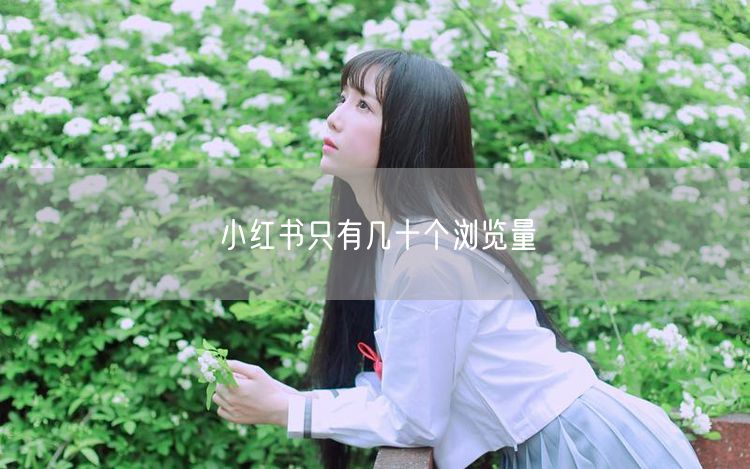 小红书只有几十个浏览量