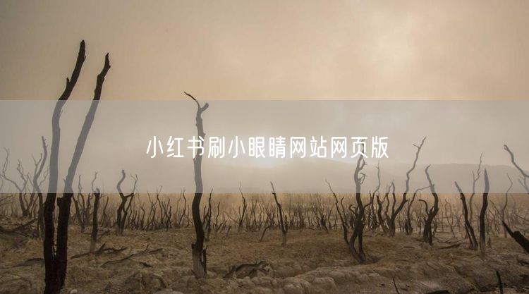 小红书刷小眼睛网站网页版