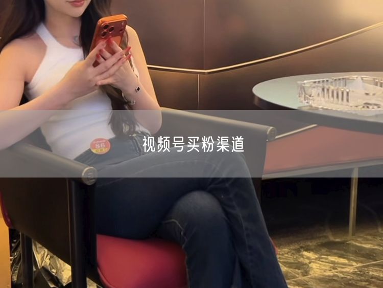 视频号买粉渠道
