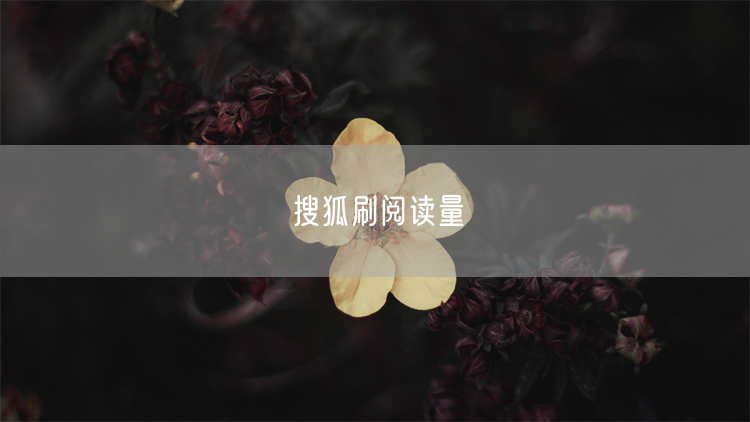 搜狐刷阅读量