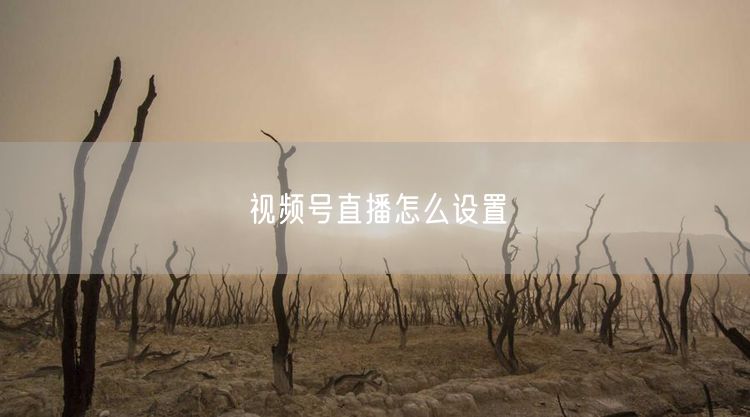 视频号直播怎么设置