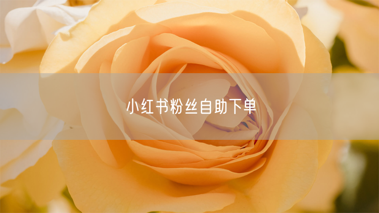 小红书粉丝自助下单