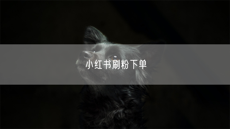 小红书刷粉下单