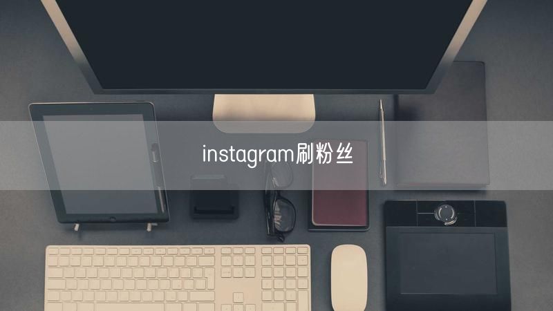 instagram刷粉丝