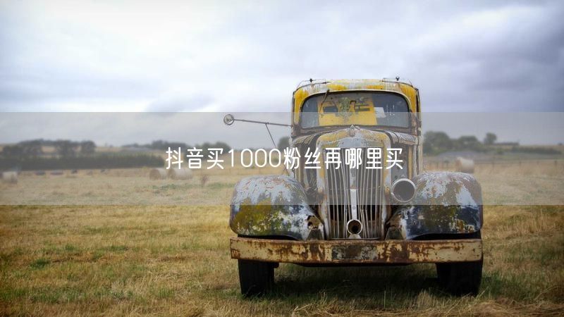 抖音买1000粉丝再哪里买