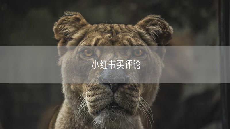小红书买评论
