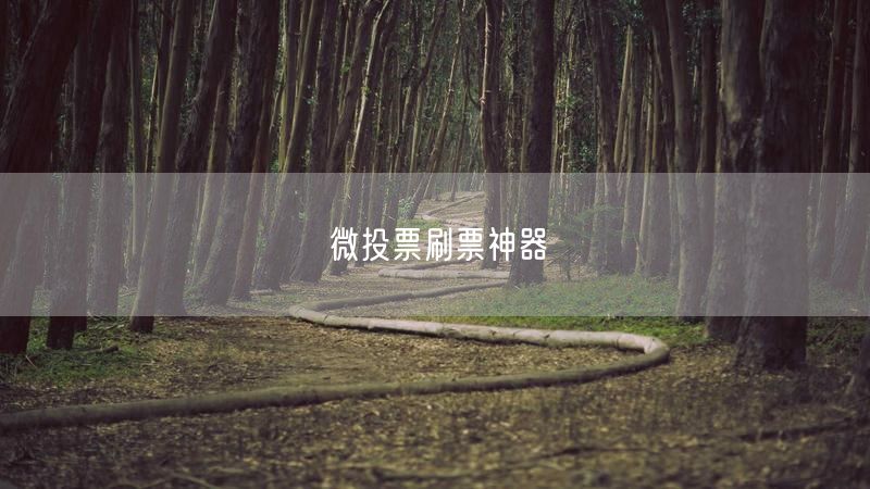 微投票刷票神器