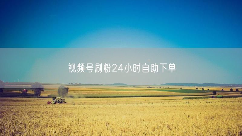 视频号刷粉24小时自助下单