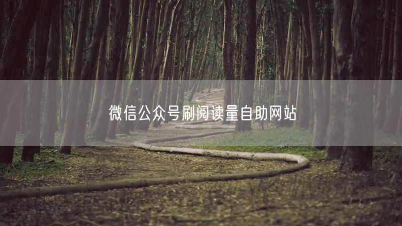 微信公众号刷阅读量自助网站
