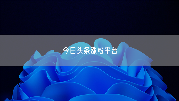 今日头条涨粉平台