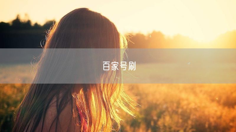 百家号刷