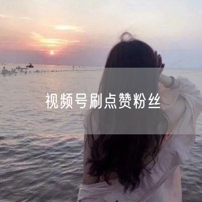 视频号刷点赞粉丝