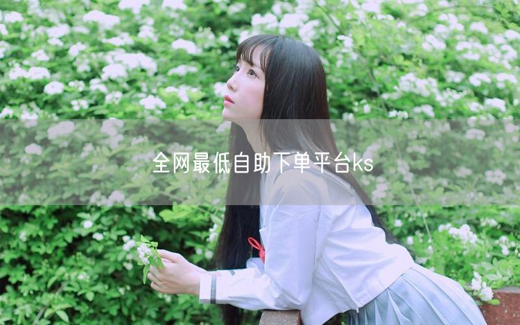 全网最低自助下单平台ks
