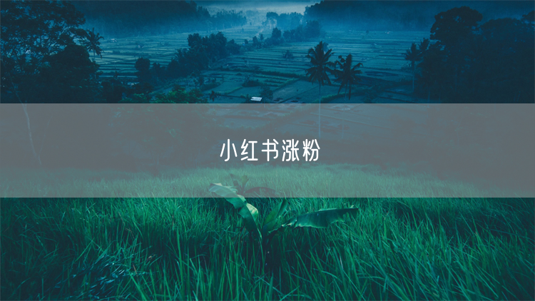 小红书涨粉