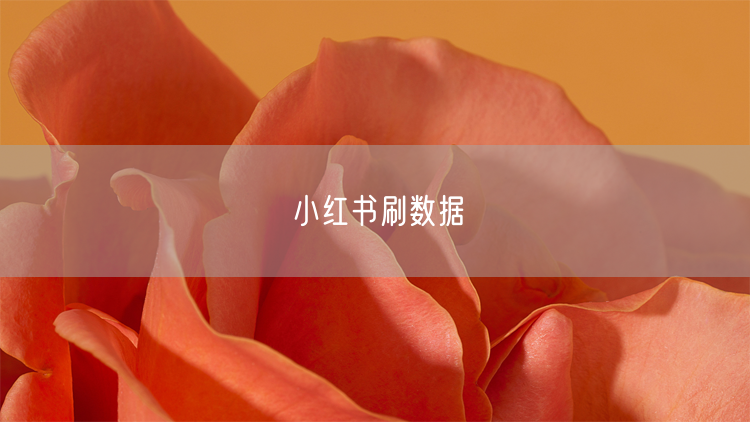 小红书刷数据