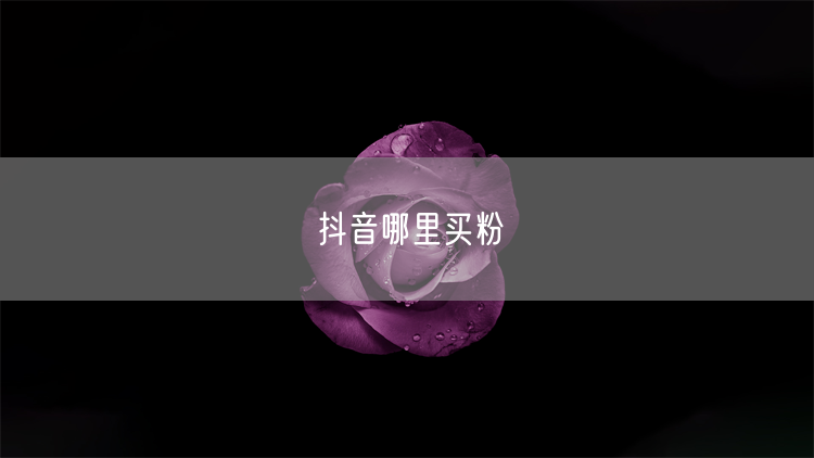 抖音哪里买粉