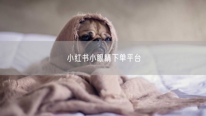 小红书小眼睛下单平台