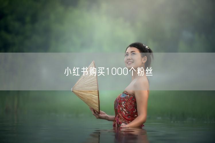 小红书购买1000个粉丝