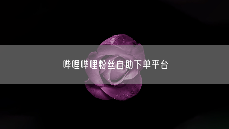 哔哩哔哩粉丝自助下单平台