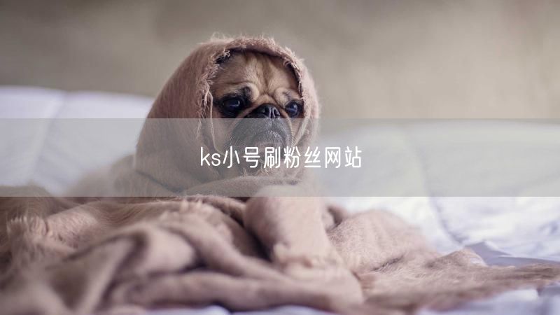 ks小号刷粉丝网站