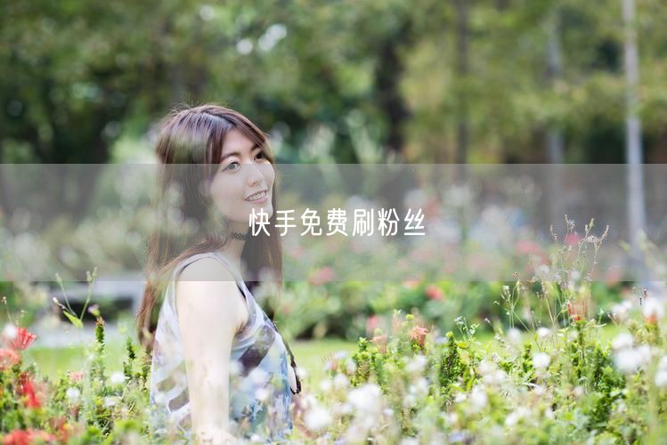 快手免费刷粉丝
