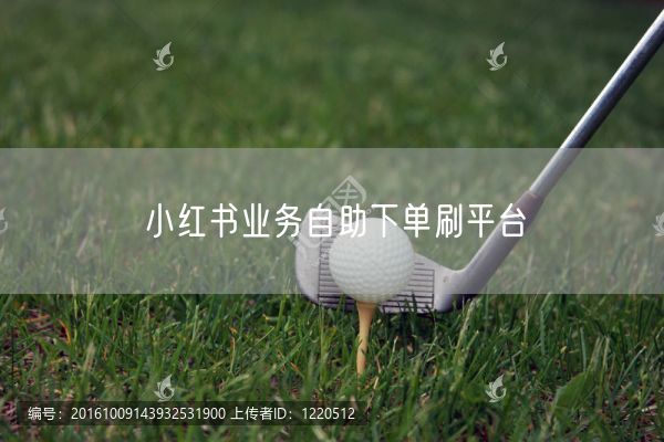 小红书业务自助下单刷平台