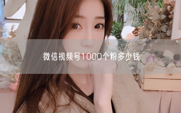 微信视频号1000个粉多少钱