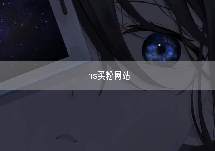 ins买粉网站