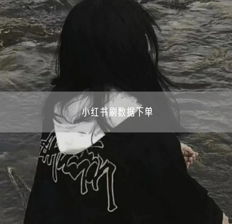 小红书刷数据下单