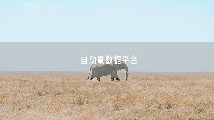 自助刷数据平台