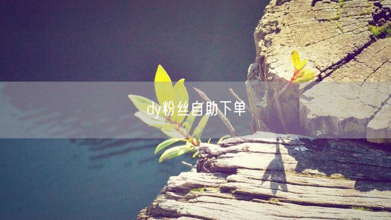 dy粉丝自助下单
