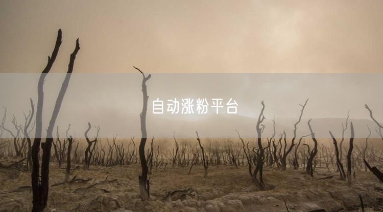 自动涨粉平台