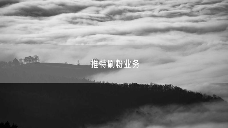 推特刷粉业务