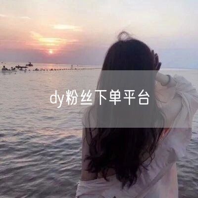 dy粉丝下单平台