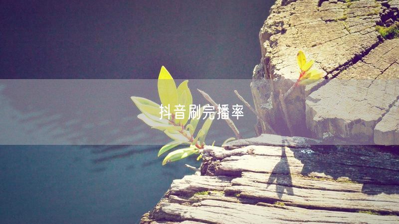 抖音刷完播率