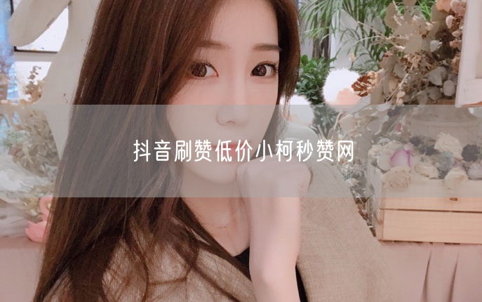 抖音刷赞低价小柯秒赞网
