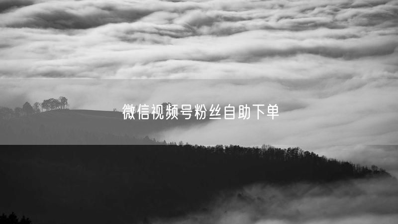 微信视频号粉丝自助下单