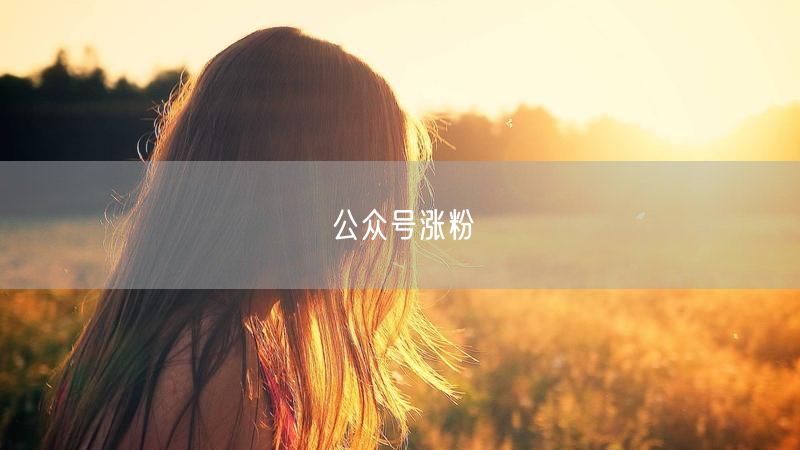 公众号涨粉