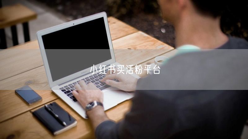 小红书买活粉平台