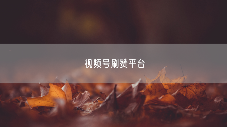 视频号刷赞平台