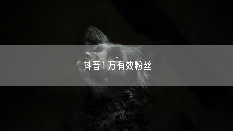 抖音1万有效粉丝