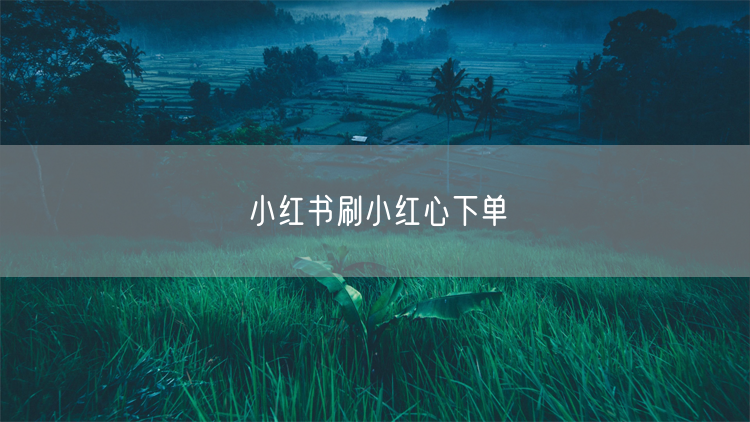 小红书刷小红心下单