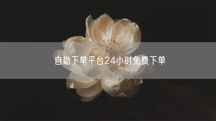 自助下单平台24小时免费下单
