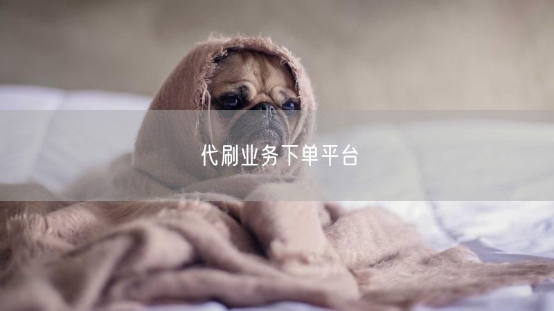 代刷业务下单平台