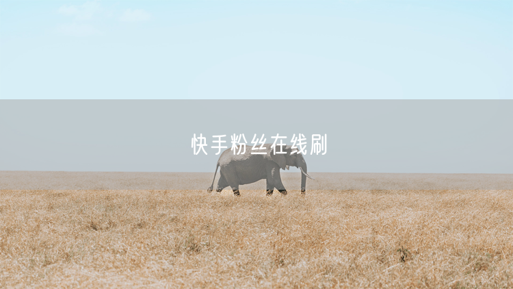 快手粉丝在线刷