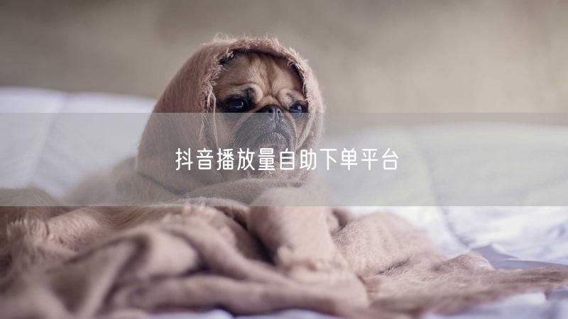 抖音播放量自助下单平台