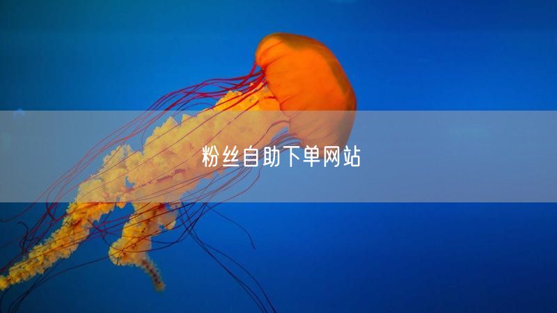 粉丝自助下单网站