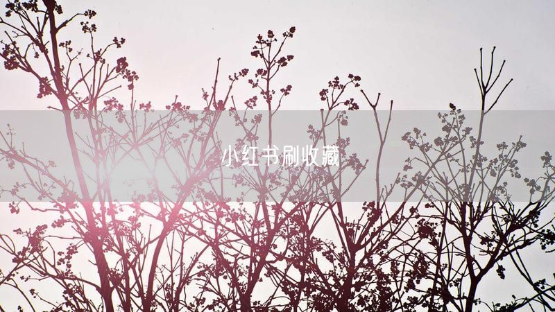 小红书刷收藏