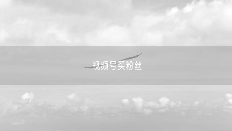 视频号买粉丝